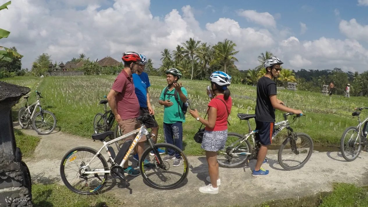 Bike Tour in Tegalalang with Lunch