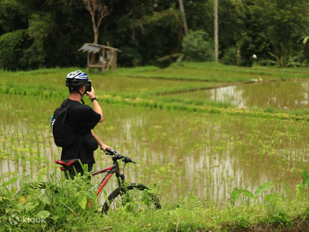 Downhill Cycling Tour Ubud True Jungle and Rice Terrace