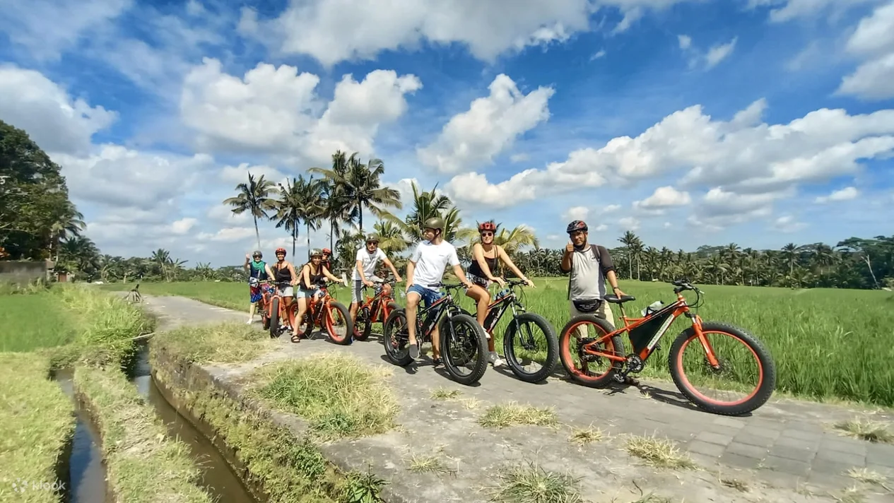 Fat Tire E-Bike Tour in Ubud