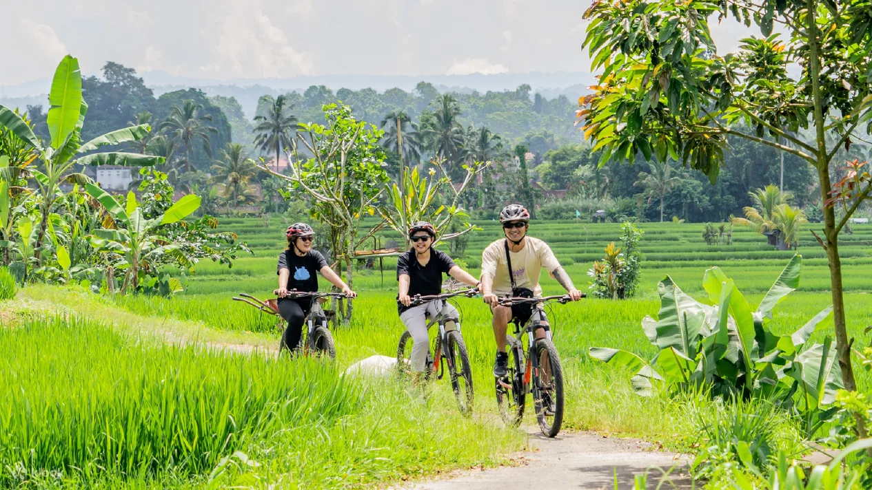 Kintamani to Ubud Bike Tour