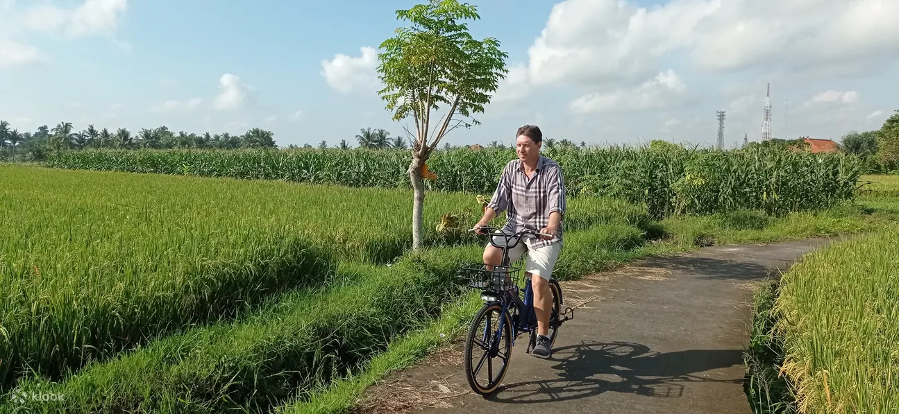 South Ubud Electric Bike Tour in Bali